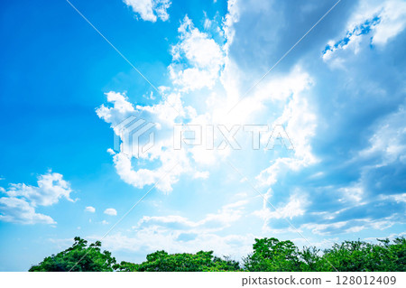 藍天,白雲和樹林 藍天,白雲和樹林 128012409