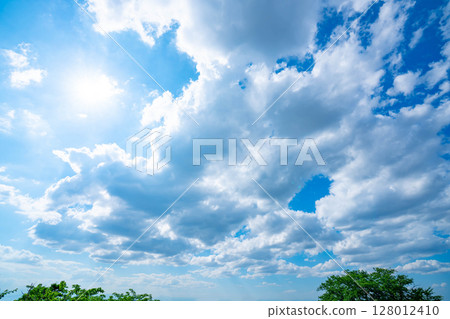 Blue sky, clouds and grove 128012410