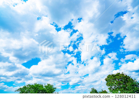 Blue sky, clouds and grove 128012411