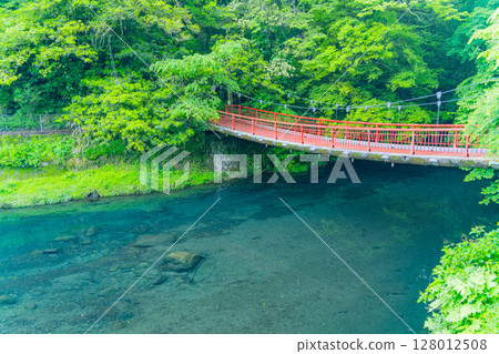 (Kumamoto Prefecture) Kikuchi Valley, Kikuchi River Water Intake Weir 128012508