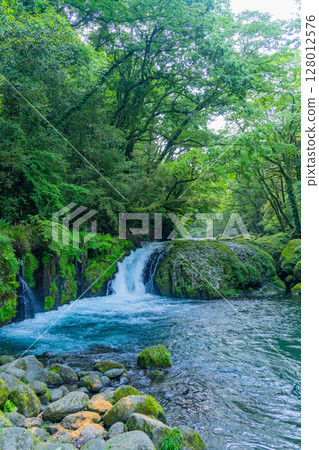 (Kumamoto Prefecture) Kikuchi Valley, Reimei Falls (Kumamoto Prefecture) Kikuchi Valley, Reimei Falls 128012576