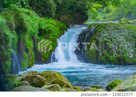 （熊本縣）菊池溪谷、靈明瀑布 128012577