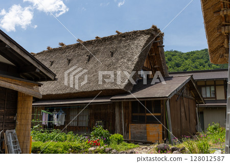 夏季白川鄉合掌屋和鬱鬱蔥蔥的花園的風景 夏季白川鄉合掌屋和鬱鬱蔥蔥的花園的風景 128012587