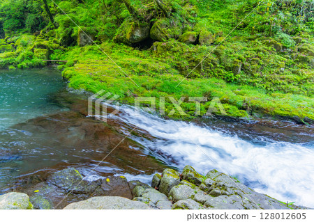 (Kumamoto Prefecture) Kikuchi Valley, Reimei Falls (downstream) (Kumamoto Prefecture) Kikuchi Valley, Reimei Falls (downstream) 128012605