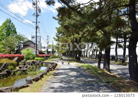 愛知縣知立松樹線、岔路和池塘 128013073