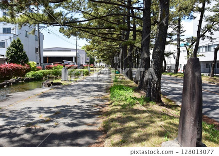 Aichi Prefecture, Chiryu Pine Tree Line, Side Road and Pond Aichi Prefecture, Chiryu Pine Tree Line, Side Road and Pond 128013077