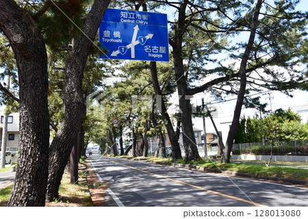 Pine trees and road signs in Chiryu, Aichi Prefecture Pine trees and road signs in Chiryu, Aichi Prefecture 128013080