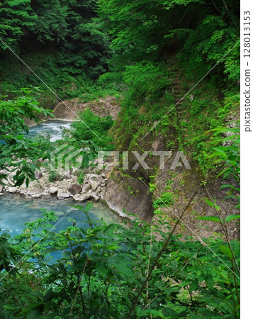 Gunma Prefecture, full of fresh greenery: Agatsuma Gorge and its rapids 128013153