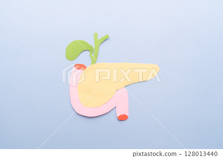 Pancreas and gallbladder organ shape made from paper on light blue background. 128013440