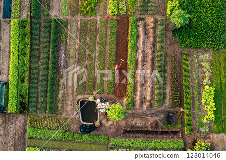 Sunrise Over Tra Que Vegetable Village, Hoi An Sunrise Over Tra Que Vegetable Village, Hoi An 128014046