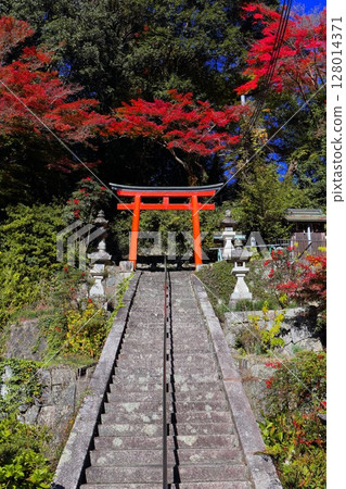 秋季樹葉和牌坊 128014371