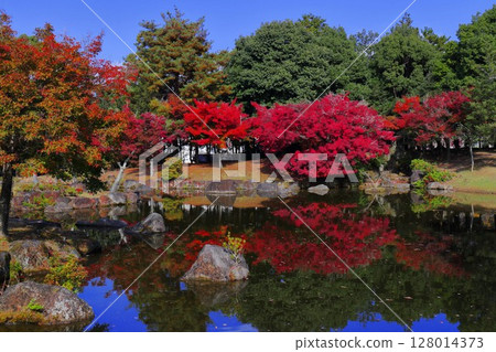 A pond reflecting autumn leaves A pond reflecting autumn leaves 128014373