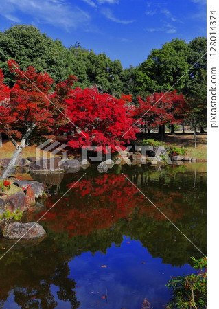 A pond reflecting autumn leaves A pond reflecting autumn leaves 128014374