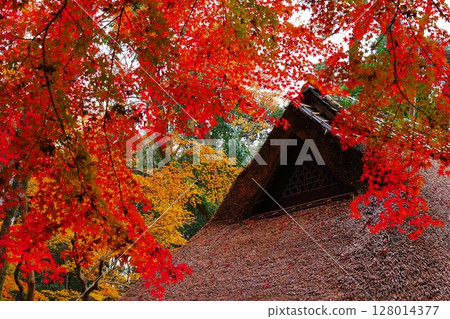 秋季葉子和草皮屋頂 128014377