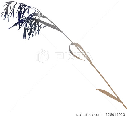 Watercolor dried stem with leaf and seeds in brown tones, boho autumn wedding isolated illustration Watercolor dried stem with leaf and seeds in brown tones, boho autumn wedding isolated illustration 128014920