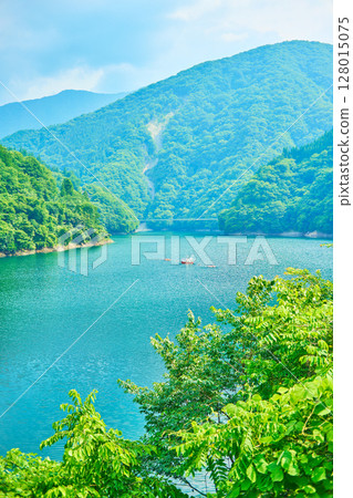 秩父T澤水壩 128015075