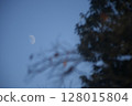 Half moon, tree and blue sky 128015804