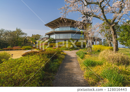 靜岡市（靜岡縣）晴朗早晨的日本平夢露台風景 128016443