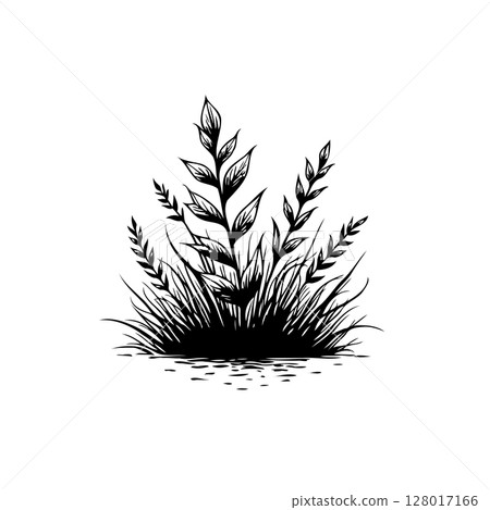Elegant botanical illustration of a plant with leaves and grass in black and white Elegant botanical illustration of a plant with leaves and grass in black and white 128017166