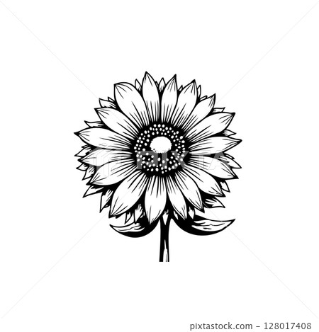 Elegant Sunflower Illustration: A Black and White Botanical Artwork for Creative Projects 128017408