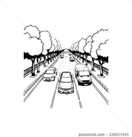 Black and white illustration of vehicles driving down a tree-lined avenue Black and white illustration of vehicles driving down a tree-lined avenue 128017431