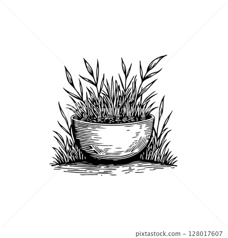 Minimalist botanical illustration of plant in a bowl, botanical drawing art Minimalist botanical illustration of plant in a bowl, botanical drawing art 128017607