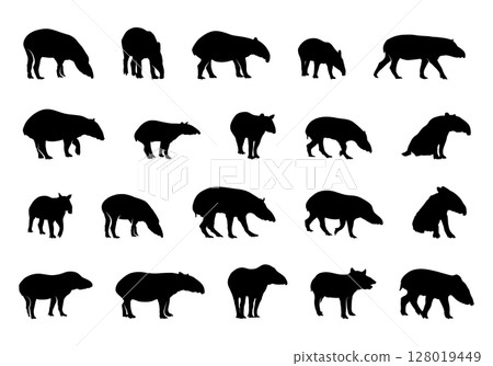 Tapir silhouettes, Malayan tapir silhouette, Tapir vector set, Tapir Svg, Tapir animal bundle 128019449
