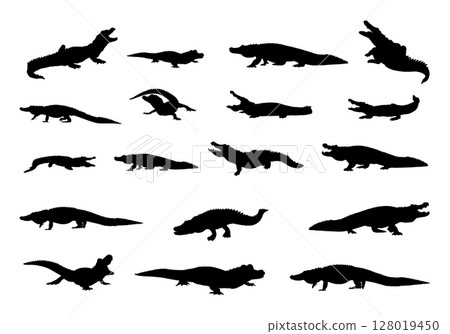 Alligator silhouettes, Crocodile silhouette, Alligator svg, Crocodile and alligator silhouette, Alligator clip art 128019450