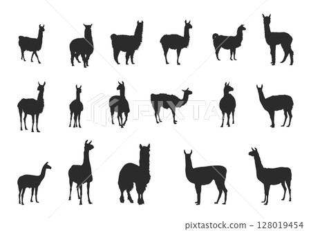Lama silhouettes, Llama silhouette, Lama svg, Llama svg, Lama animal silhouette 128019454