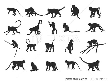 Monkey silhouettes, Monkey silhouette collection, Sitting monkey silhouette, Monkey svg, Monkey clipart, Monkey vector illustration 128019455