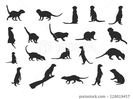 Meerkat silhouettes, Meerkat silhouettes set, Meerkat svg, Meerkat clip art, Meerkats vector illustration 128019457