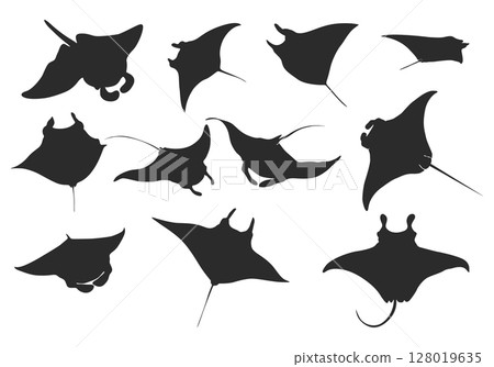 Manta ray silhouette, Manta ray vector, Manta ray SVG, Manta ray clipart, Stingray icon bundle. Manta ray silhouette, Manta ray vector, Manta ray SVG, Manta ray clipart, Stingray icon bundle. 128019635