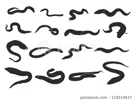 Eel fish silhouette, Moray eel fish silhouette, European eel silhouette, Moray eel fish svg, Eel fish svg, Eel fish vector Eel fish silhouette, Moray eel fish silhouette, European eel silhouette, Moray eel fish svg, Eel fish svg, Eel fish vector 128019637