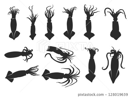 Squid silhouette, Squid svg, Squid clipart, Squid octopus silhouette, Squid vector illustration, Squid icon bundle. 128019639
