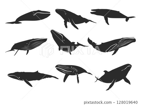 Blue whale silhouette, Whale silhouette, Blue whale svg, Blue whale icon set, Whale clipart 128019640