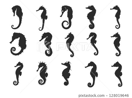 Seahorse silhouette, Seahorse SVG, Seahorse icon set, Seahorse clipart, Seahorse vector illustration Seahorse silhouette, Seahorse SVG, Seahorse icon set, Seahorse clipart, Seahorse vector illustration 128019646