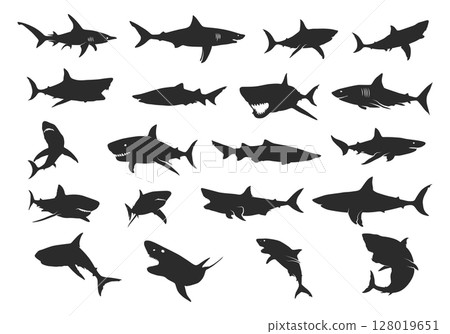 Shark silhouette, Shark silhouettes, Shark SVG, Shark icon set, Shark clipart, Shark vector illustration Shark silhouette, Shark silhouettes, Shark SVG, Shark icon set, Shark clipart, Shark vector illustration 128019651