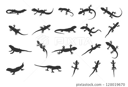 Lizard silhouette, Gecko lizard silhouette, Gecko silhouettes, Gecko lizard svg, Lizard svg, Gecko lizard clipart, Lizard vector set 128019670