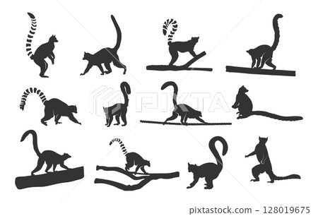 Lemur silhouette, Ring tailed lemur silhouette, Lemur silhouette Lemur svg, Ring tailed lemur svg, Lemur vector set 128019675