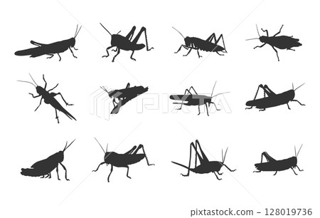 Grasshopper silhouettes, Clipart grasshopper, Grasshopper svg, Grasshoppers silhouette, Grasshopper vector set Grasshopper silhouettes, Clipart grasshopper, Grasshopper svg, Grasshoppers silhouette, Grasshopper vector set 128019736