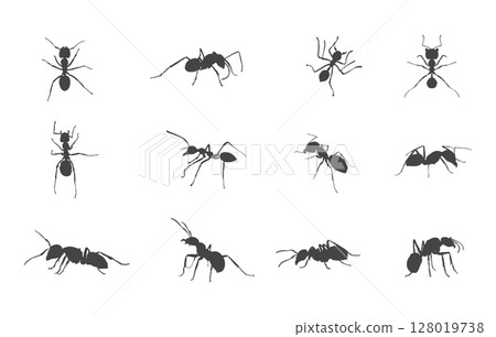 Ants svg, Ants silhouette, Ant clipart, Ant silhouette set, Ants vector set, Ant crawling silhouette, Ant drawing. 128019738