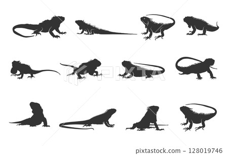 Iguana silhouette, Iguana svg, Iguana silhouettes, Iguana vector illustration Iguana silhouette, Iguana svg, Iguana silhouettes, Iguana vector illustration 128019746