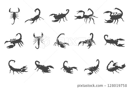 Scorpion silhouette, Scorpion svg, Scorpion vector, Scorpion logo, Scorpion clipart. 128019758