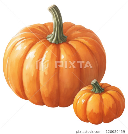 Autumn orange pumpkin watercolor illustration isolated on white background. Seasonal harvest theme with natural textures and warm colors 128020439