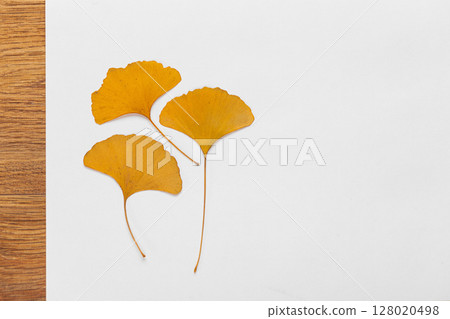 Dry Ginkgo Leaves Arranged on a Minimalist White Background Dry Ginkgo Leaves Arranged on a Minimalist White Background 128020498