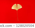 Golden Ginkgo Leaf On Vibrant Red Background for Decoration or Design 128020504