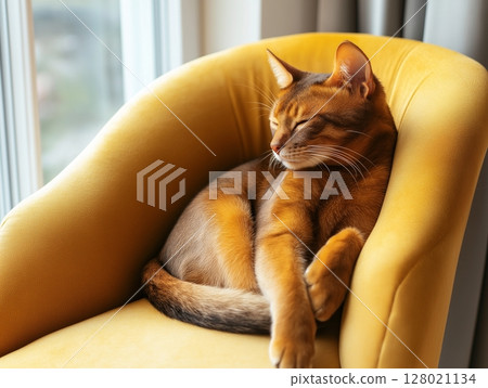 Abyssinian cat sits gracefully in a bright yellow armchair, cozy and elegant indoor scene. 128021134