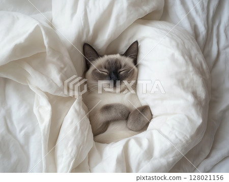 Cat sleeps soundly in white bedding, cozy and peaceful indoor scene with soft natural light. Cat sleeps soundly in white bedding, cozy and peaceful indoor scene with soft natural light. 128021156