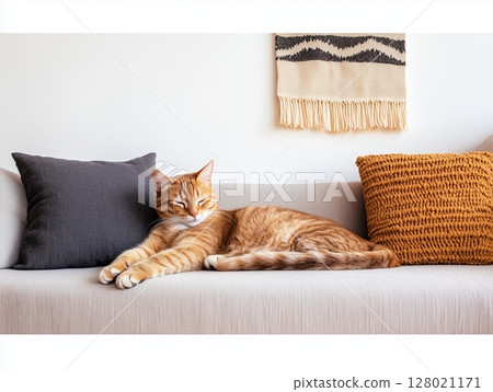 American Bobtail cat rests on a light sofa in a minimalist interior with soft natural lighting. American Bobtail cat rests on a light sofa in a minimalist interior with soft natural lighting. 128021171