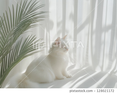 Fluffy white cat relaxing in a cozy stylish home interior with soft natural light and warm tones. Fluffy white cat relaxing in a cozy stylish home interior with soft natural light and warm tones. 128021172